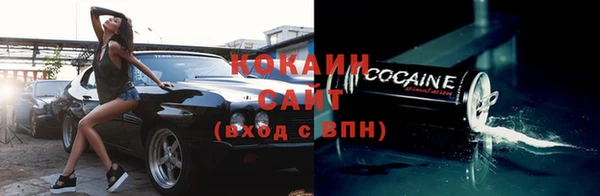 соль ск Абаза