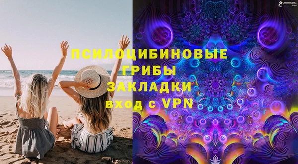 соль ск Абаза