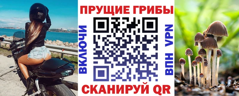 Галлюциногенные грибы мицелий  Новая Усмань 